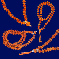 14 Mukhi Hanuman Mala